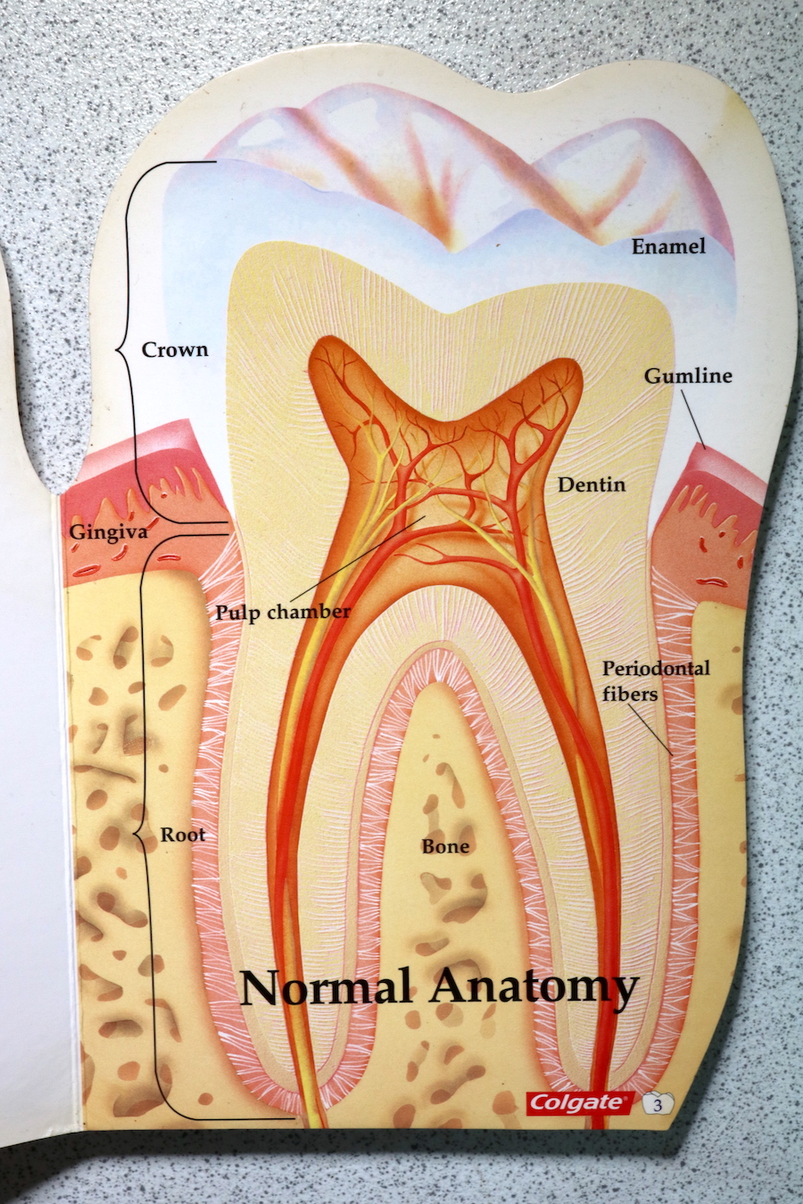 Regal Dental Surgery