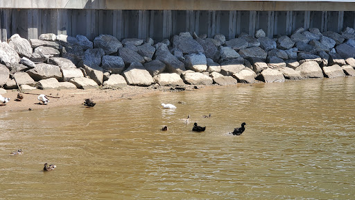 Tourist Attraction «National Harbor», reviews and photos, 165 Waterfront St, Oxon Hill, MD 20745, USA