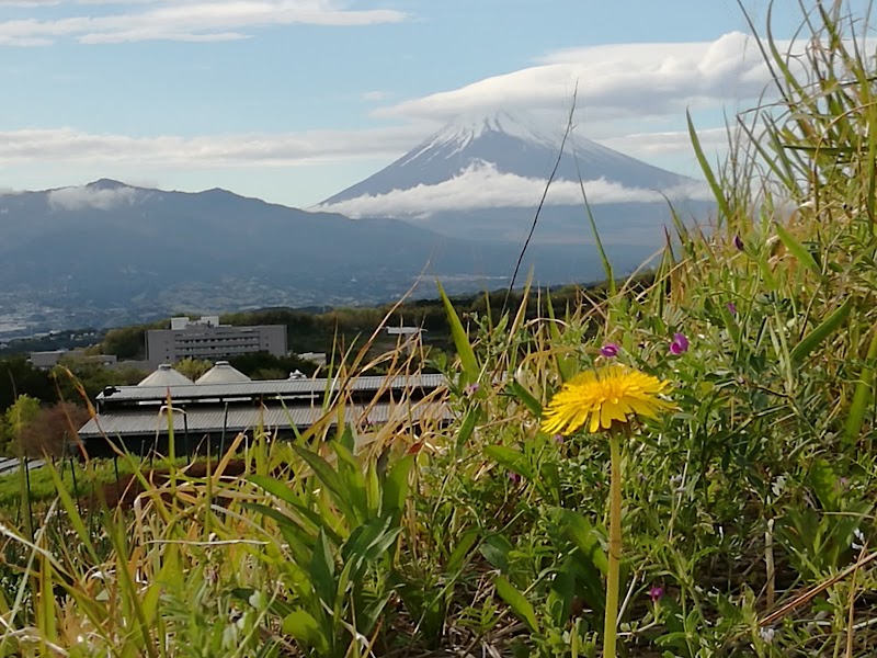 三島パサディナ美術館