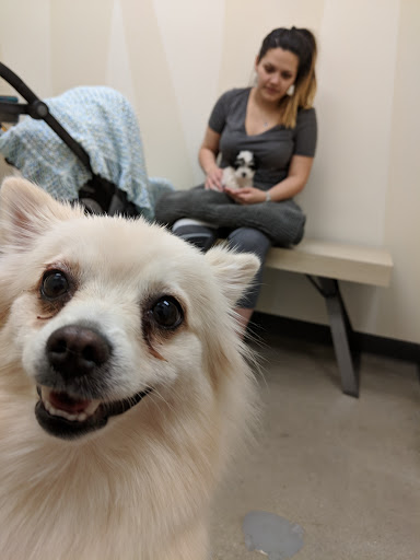 Pet Supply Store «Petco Animal Supplies», reviews and photos, 27580 W Lugonia Ave, Redlands, CA 92374, USA