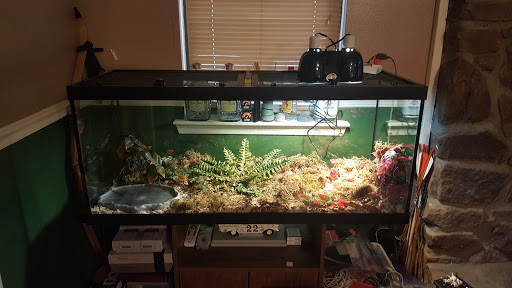 Pet Store «Fish Bowl», reviews and photos, 2117 E Race Ave, Searcy, AR 72143, USA