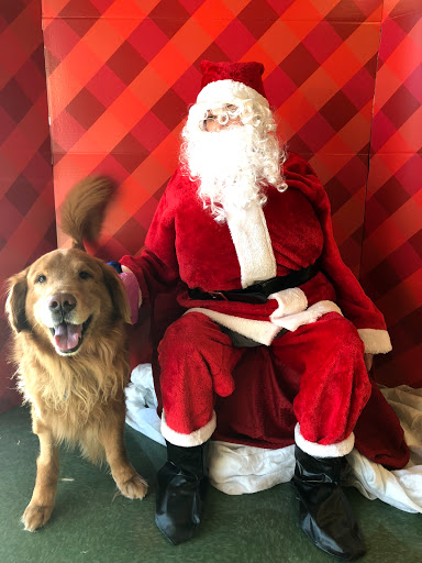 Pet Supply Store «Petco Animal Supplies», reviews and photos, 30697 US Hwy 19 N, Palm Harbor, FL 34684, USA