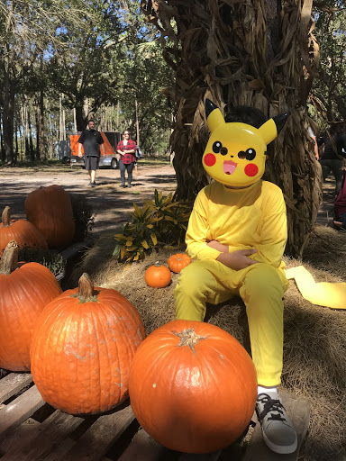 Tourist Attraction «Partin Ranch Corn Maze», reviews and photos, 5601 N Canoe Creek Rd, Kenansville, FL 34739, USA