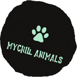 GOmychill à Marchiennes