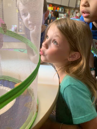 Preschool «Coronado Prep Preschool», reviews and photos, 2650 Sunridge Heights Pkwy, Henderson, NV 89052, USA