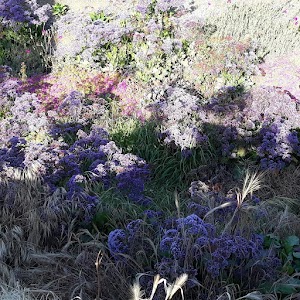 Lynn Oaks Park - photo 44