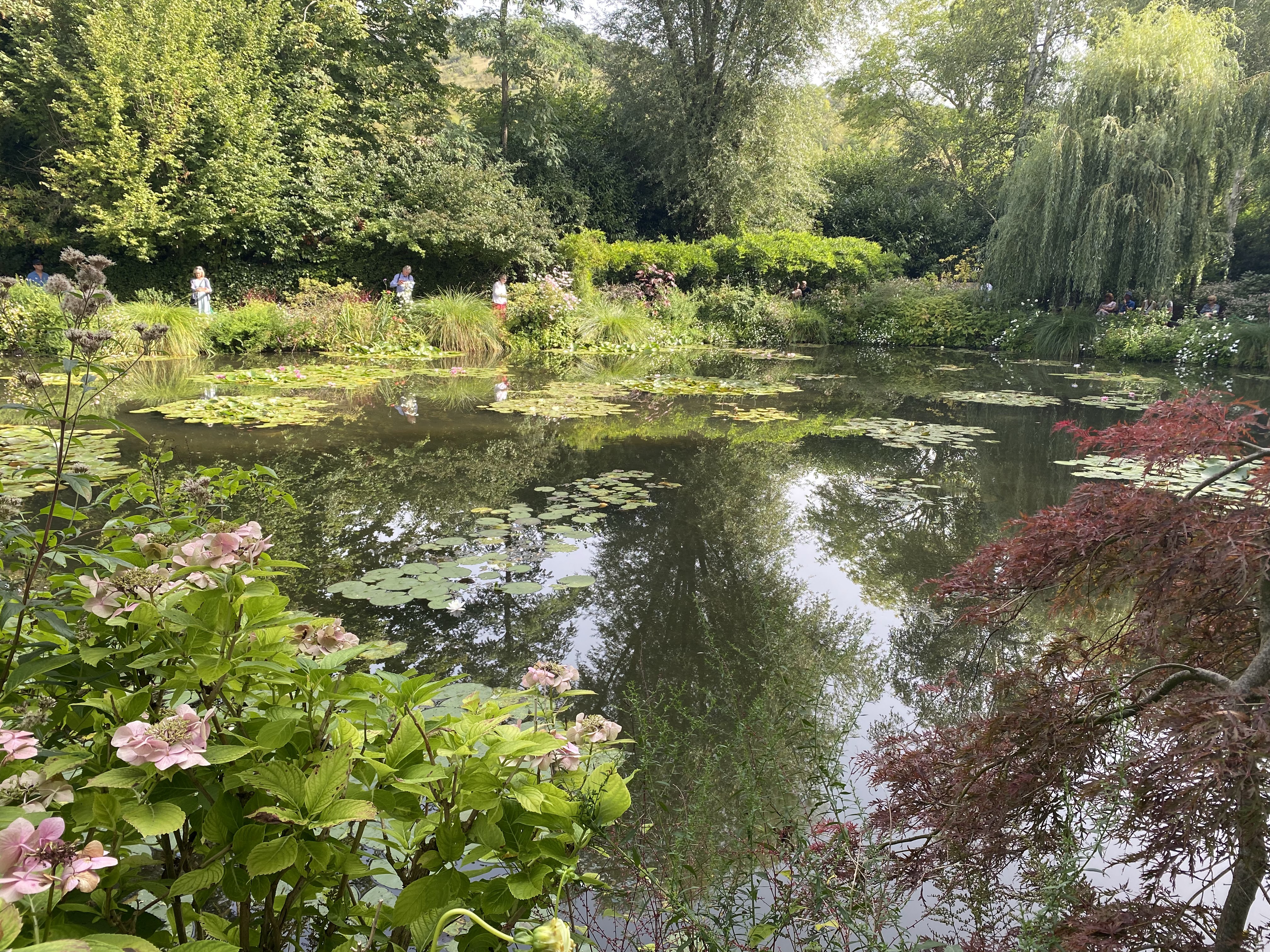 Photo n° 5 de l'avis de Farzad.a fait le 06/09/2023 à 08:16