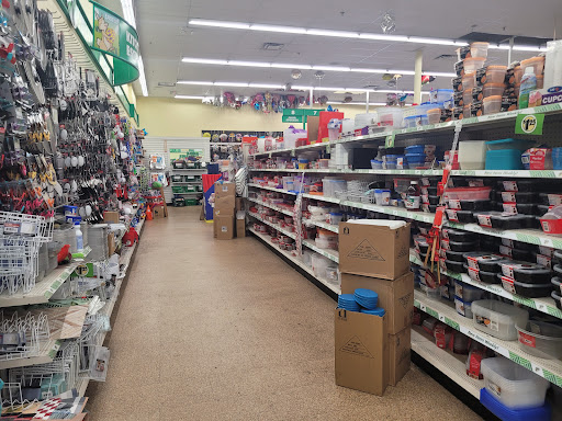 Dollar Store «Dollar Tree», reviews and photos, 1442 FL-436 #1052, Casselberry, FL 32707, USA