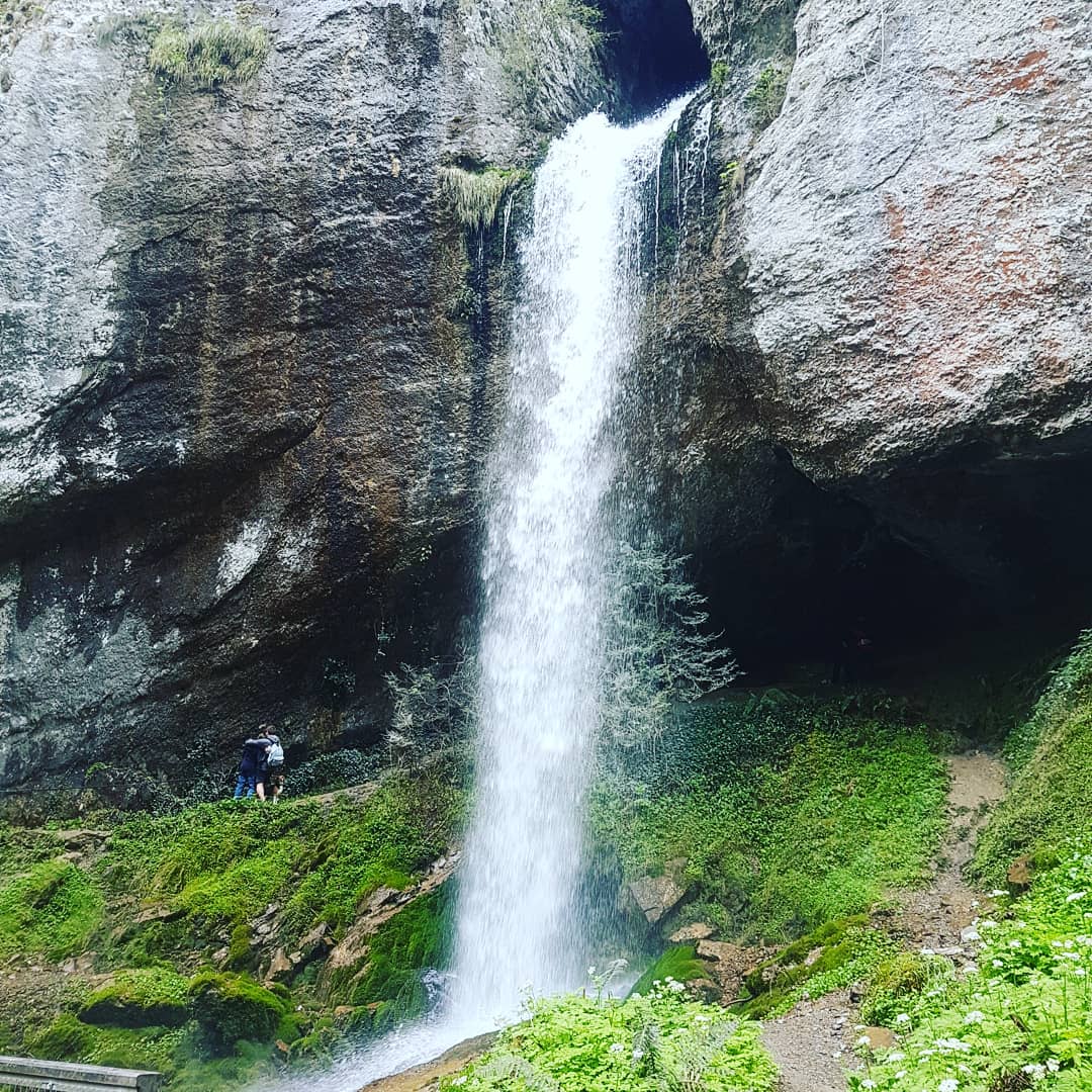 Photo n° 3 de l'avis de V... fait le 22/04/2019 à 15:44