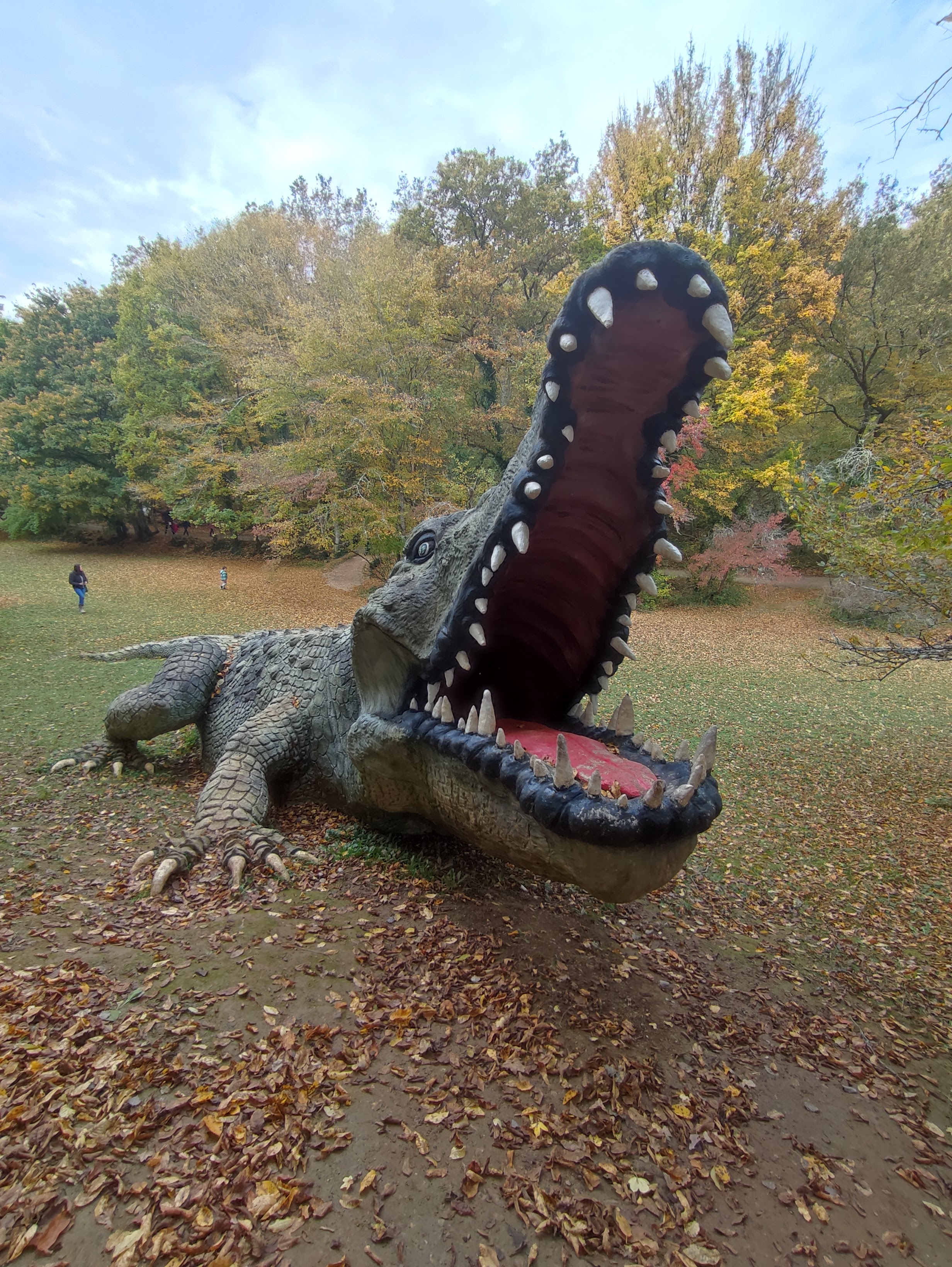 Photo n° 13 de l'avis de Anna.e fait le 05/11/2021 à 20:07