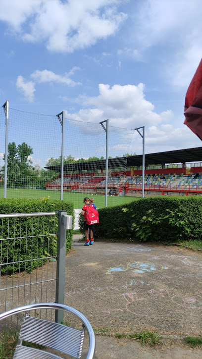 Fotbalová akademie Praha