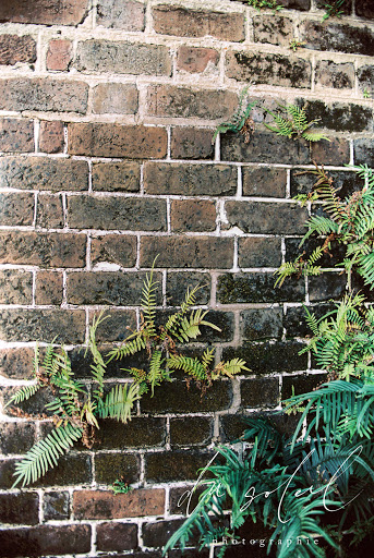 Event Venue «The Gadsden House», reviews and photos, 329 E Bay St, Charleston, SC 29403, USA