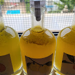 Photo n° 5 de l'avis de Cheryl.C fait le 28/05/2024 à 13:23 pour Domaine de la Mer Blanche à Argelès-sur-Mer