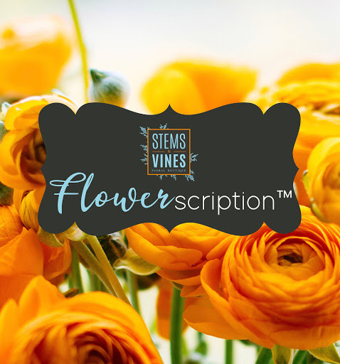 Florist «Stems and Vines of Prior Lake», reviews and photos, 4717 Pleasant St SE, Prior Lake, MN 55372, USA