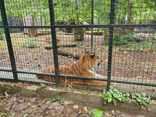 Zoo Bucharest