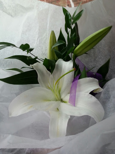 Florist «Steuber/Mt Greenwood Florist & Greenhouses», reviews and photos, 2654 W 111th St, Chicago, IL 60655, USA