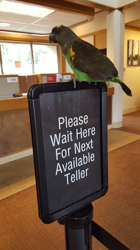 Shopping Mall «Bridle Trails Shopping Center», reviews and photos, 6501-6625 132nd Ave NE, Kirkland, WA 98033, USA