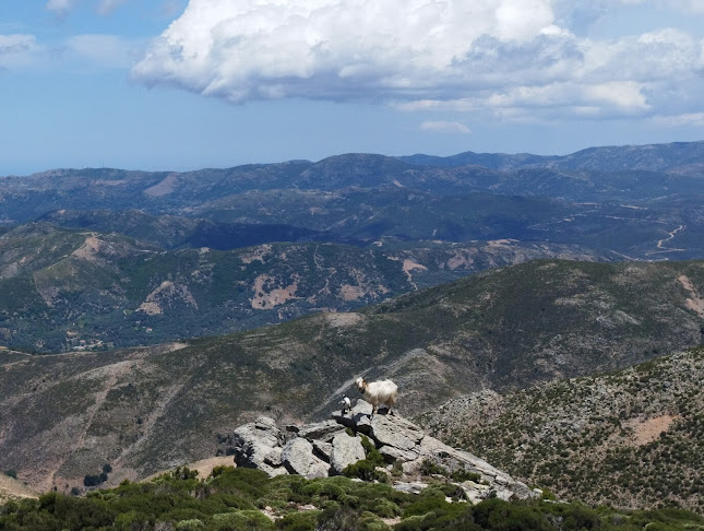 Αγιος Δίκαιος Εκκλησία - Εκκλησία