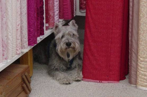 Quilt Shop «Patches Quilting & Sewing», reviews and photos, 308 S Main St, Mt Airy, MD 21771, USA