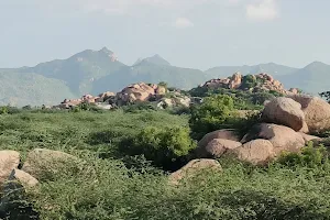 Gundlapalem Rock Formations image