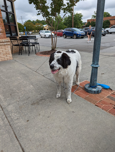 Shopping Mall «Riverstone Plaza», reviews and photos, 1451 Riverstone Pkwy, Canton, GA 30114, USA