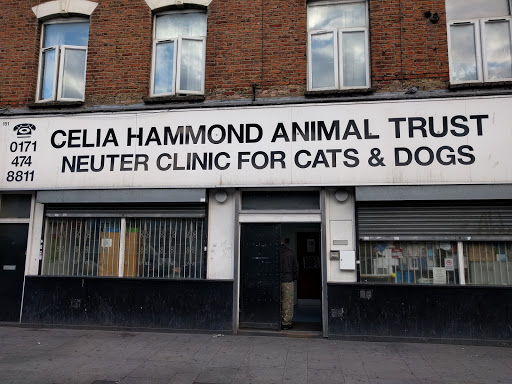 Celia Hammond Animal Trust