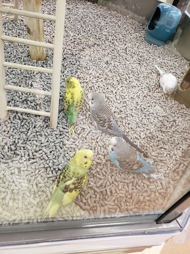 Pet Supply Store «Petco Animal Supplies», reviews and photos, 1412 S Main Chapel Way, Gambrills, MD 21054, USA