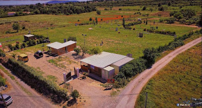 CENTRE DE FORMATION CYNOPHILE DU BASSIN DE THAU à Poussan