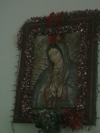 Health Insurance Agency «Humana Inc», reviews and photos