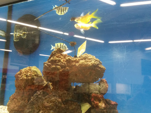 Pet Supply Store «Petco Animal Supplies», reviews and photos, 753 53rd Ave NE, Fridley, MN 55421, USA