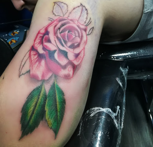 Tattoo courses in Mexico City