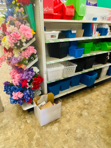 Dollar Store «Dollar Tree», reviews and photos, 708 W Poplar Ave, Collierville, TN 38017, USA