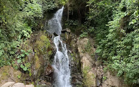 San Ramón Waterfall image