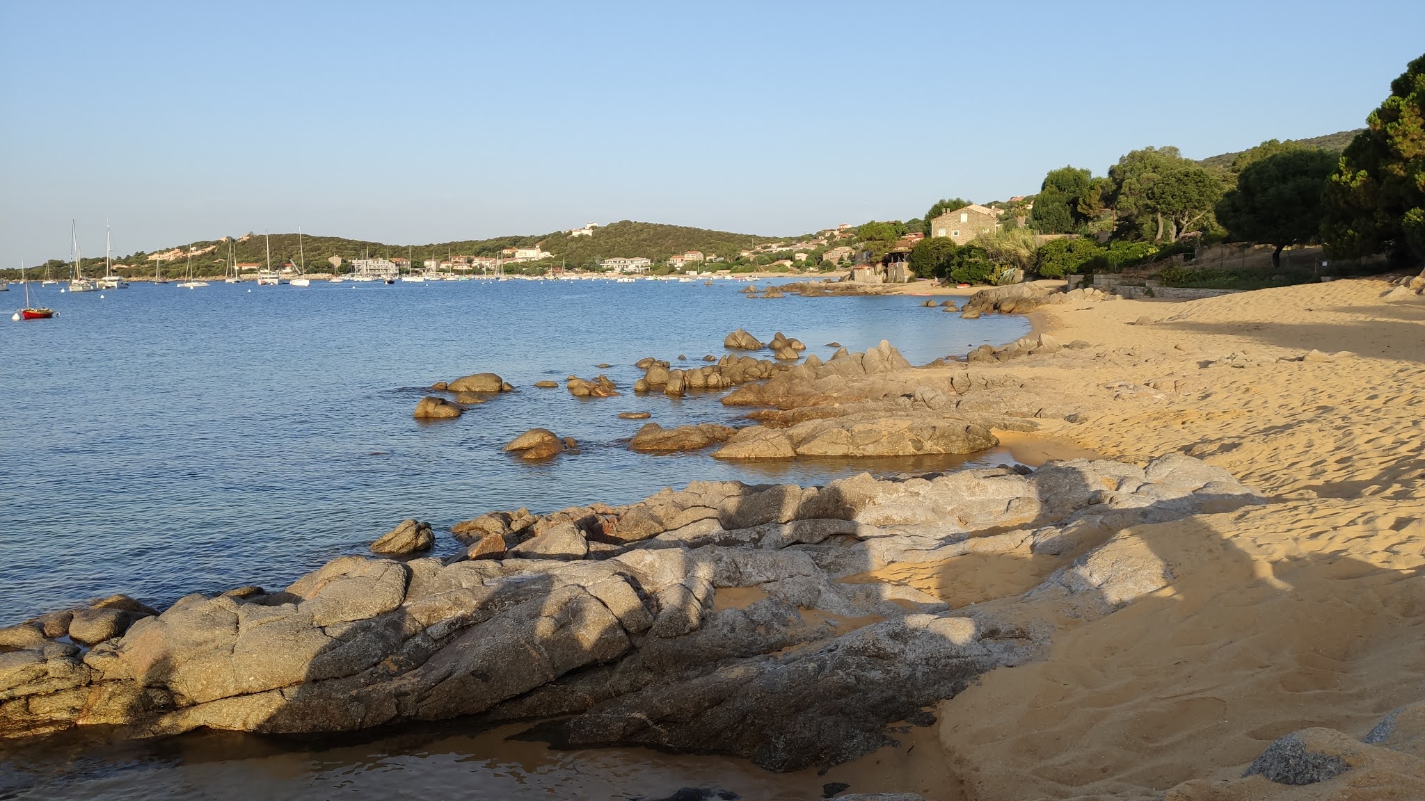 Photo n° 2 de l'avis de François.e fait le 11/11/2020 à 13:56