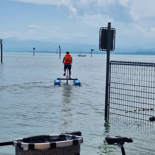 waterbike-bodensee.de