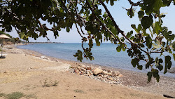 Gargara Kamp beach'in fotoğrafı uçurumlarla desteklenmiş