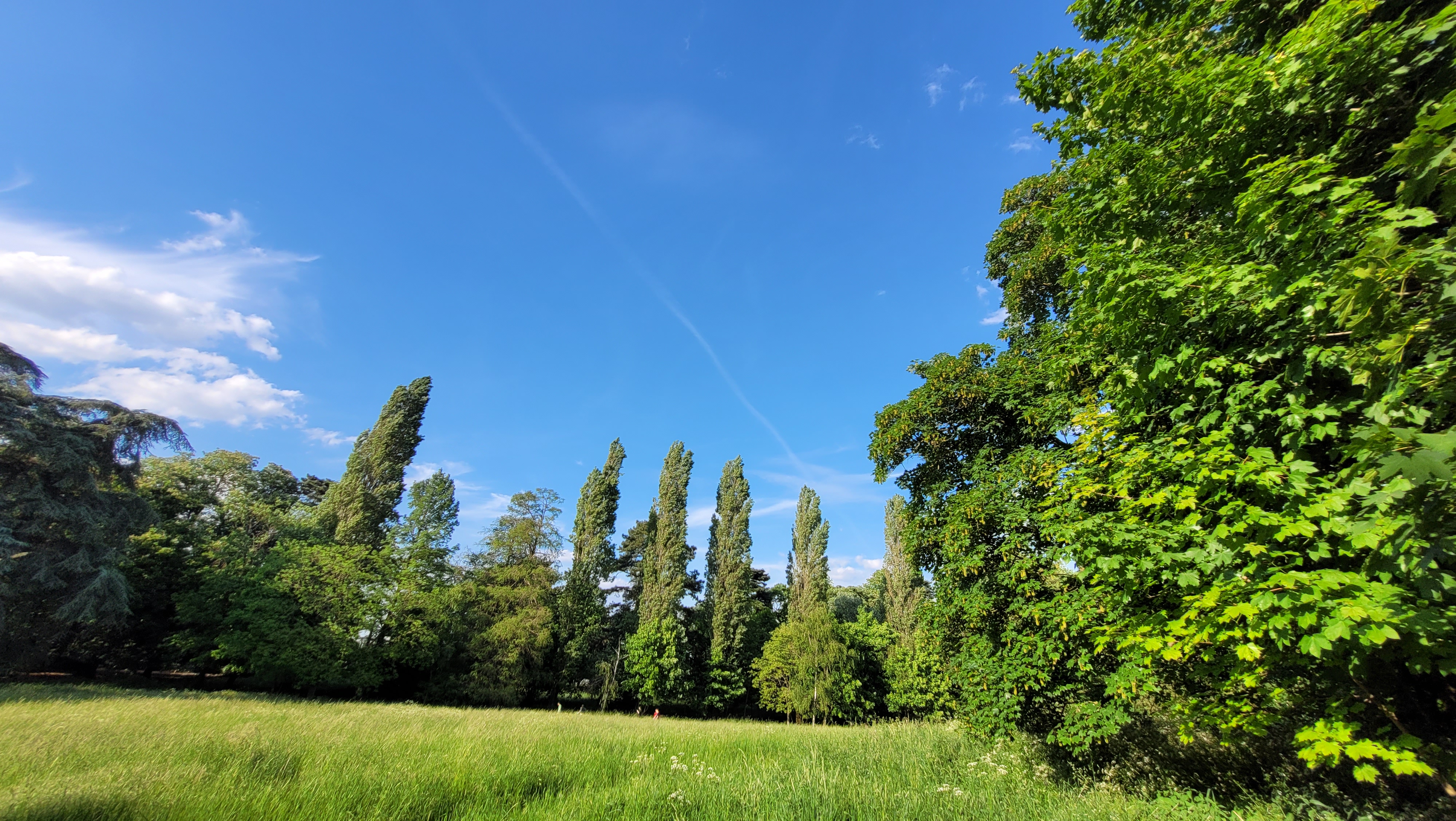 Photo n° 32 de l'avis de ernest.o fait le 17/08/2018 à 17:20