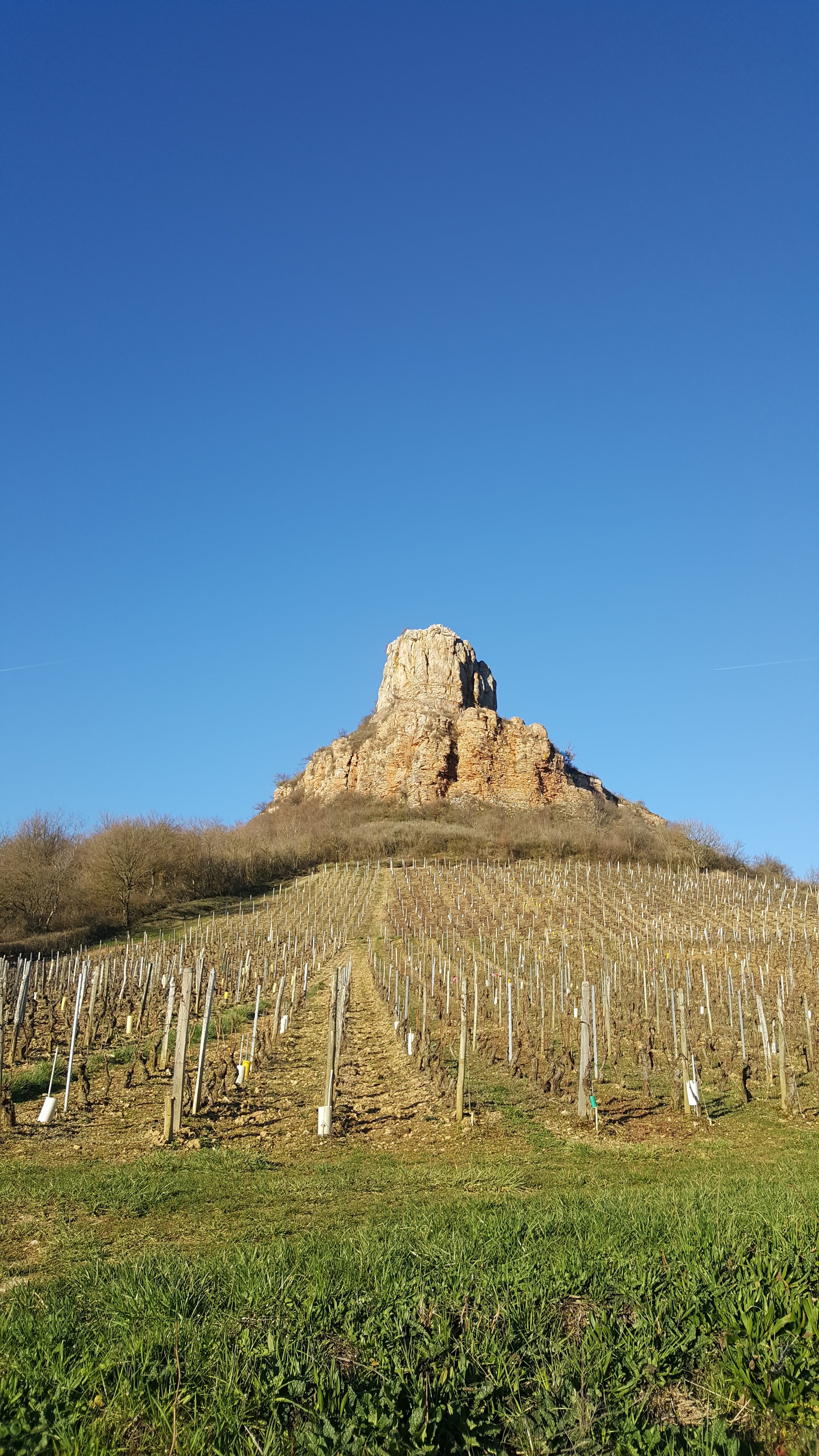 Photo n° 1 de l'avis de Roof.i fait le 24/03/2019 à 19:34