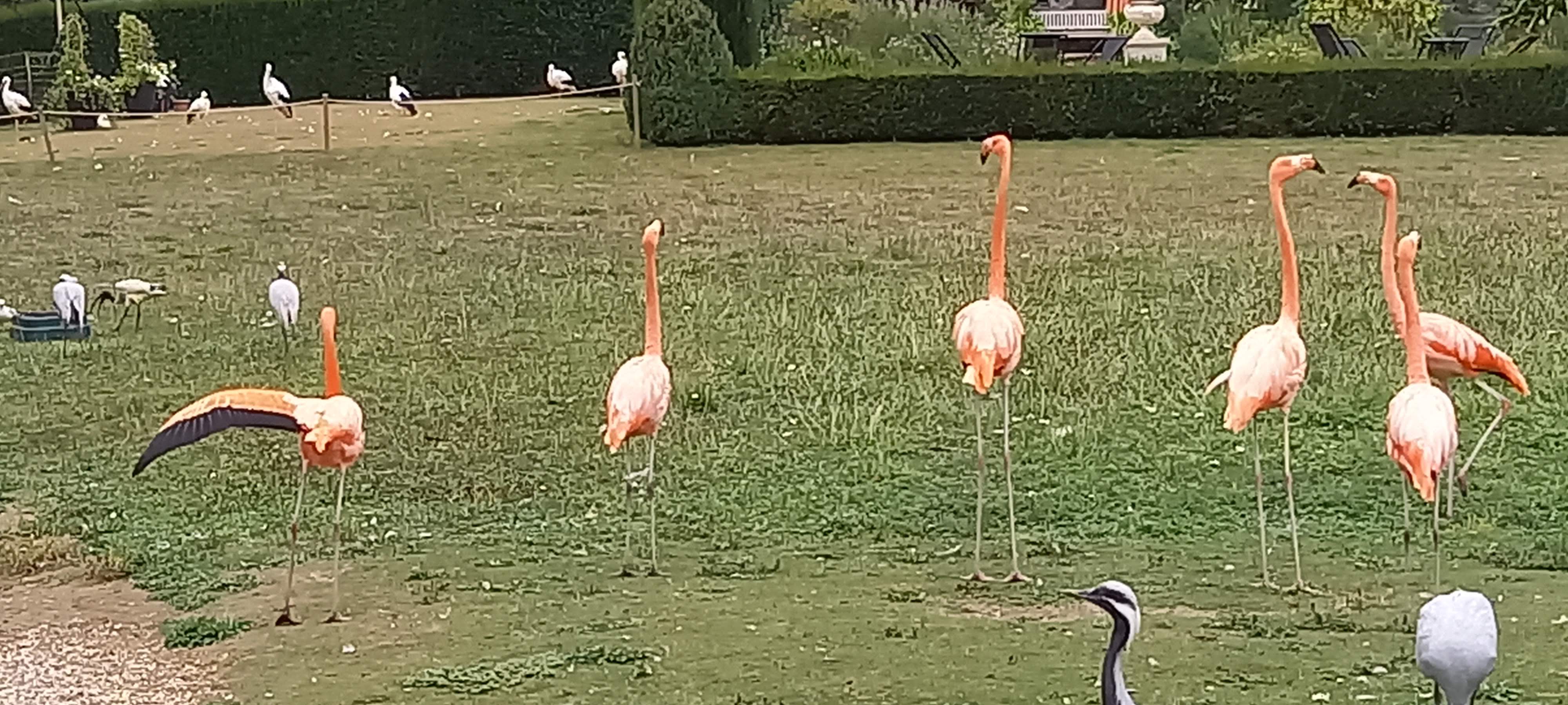 Photo n° 6 de l'avis de theodore.l fait le 27/09/2022 à 09:24