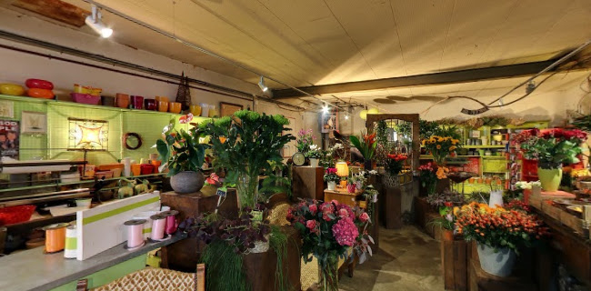 Rezensionen über A Fleur de Pot in Montreux - Blumengeschäft