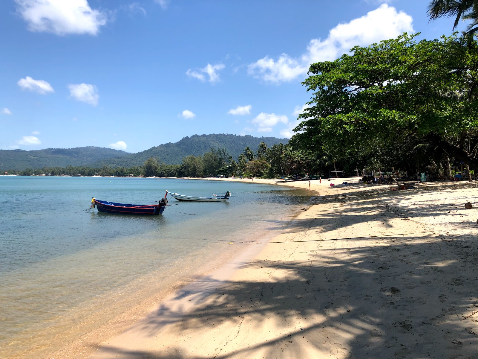 Φωτογραφία του Lipa Noi Beach με καθαρό νερό επιφάνεια