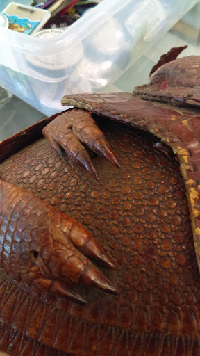 Thrift Store «Bargain World», reviews and photos, 4502 N Pearl St, Tacoma, WA 98407, USA