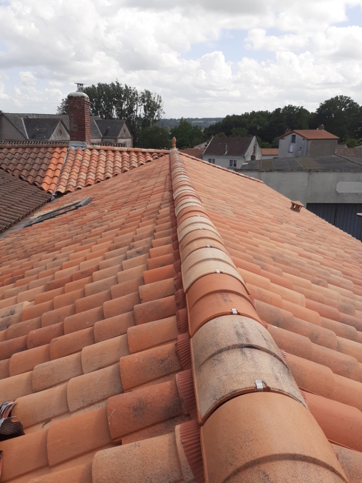 Photo n° 1 de l'avis de mederic.i fait le 26/07/2021 à 12:27