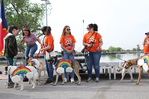 Animal Shelter «Humane Society of El Paso», reviews and photos