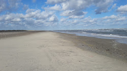Zdjęcie Gronne Beach z poziomem czystości wysoki