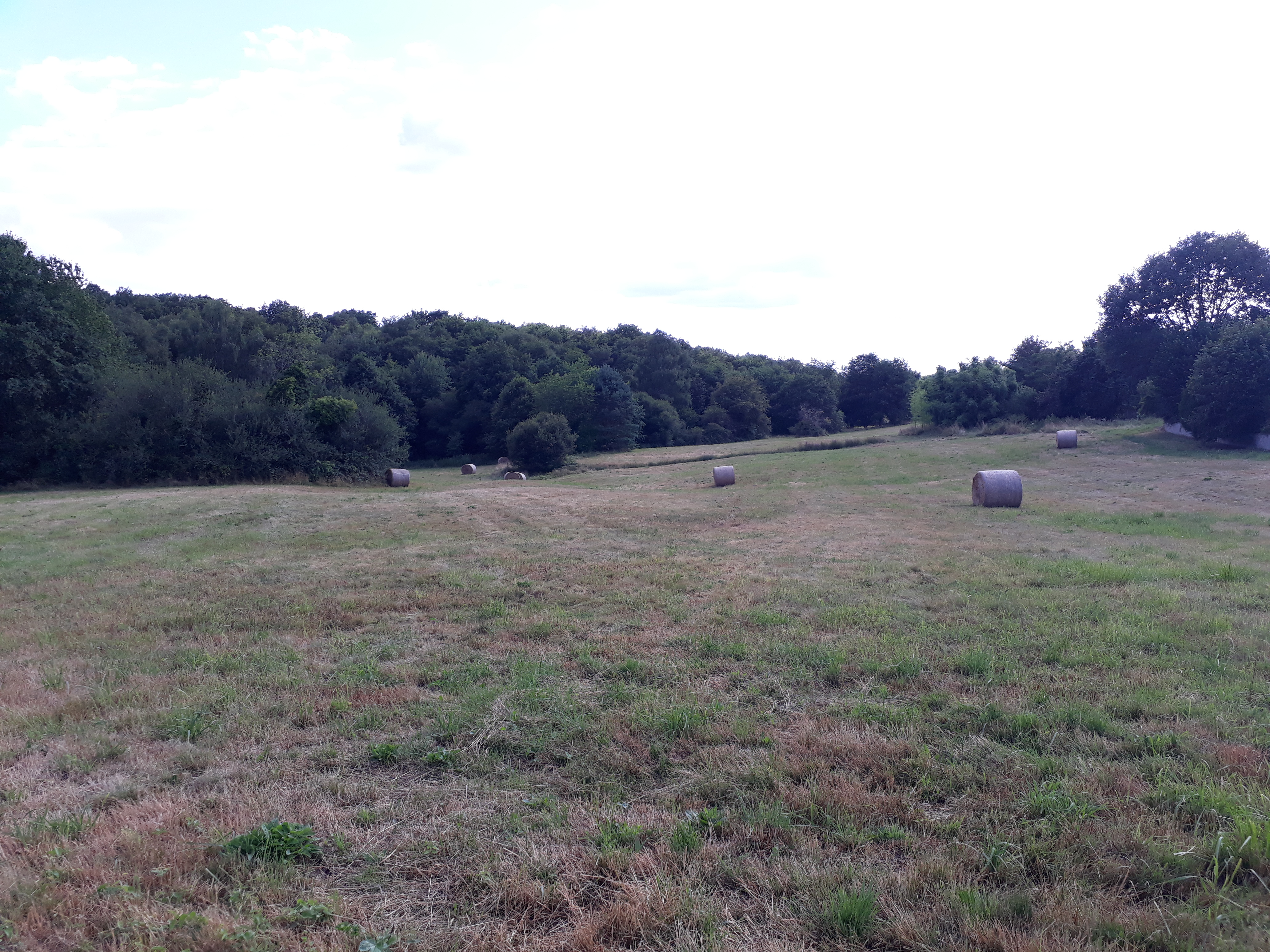 Photo n° 1 de l'avis de Stephanie.o fait le 31/07/2019 à 16:40