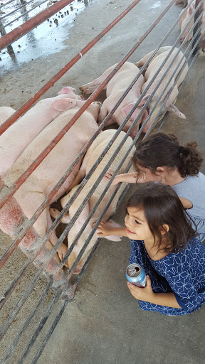 Meat Wholesaler «Lizze Custom Processing», reviews and photos, 7310 Pine Ave, Chino, CA 91708, USA