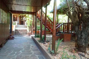 Gecko Guesthouse image