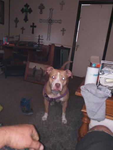 Wine Store «Broadway Tobacco Beer & Wine», reviews and photos, 5335 Broadway Blvd #210, Garland, TX 75043, USA