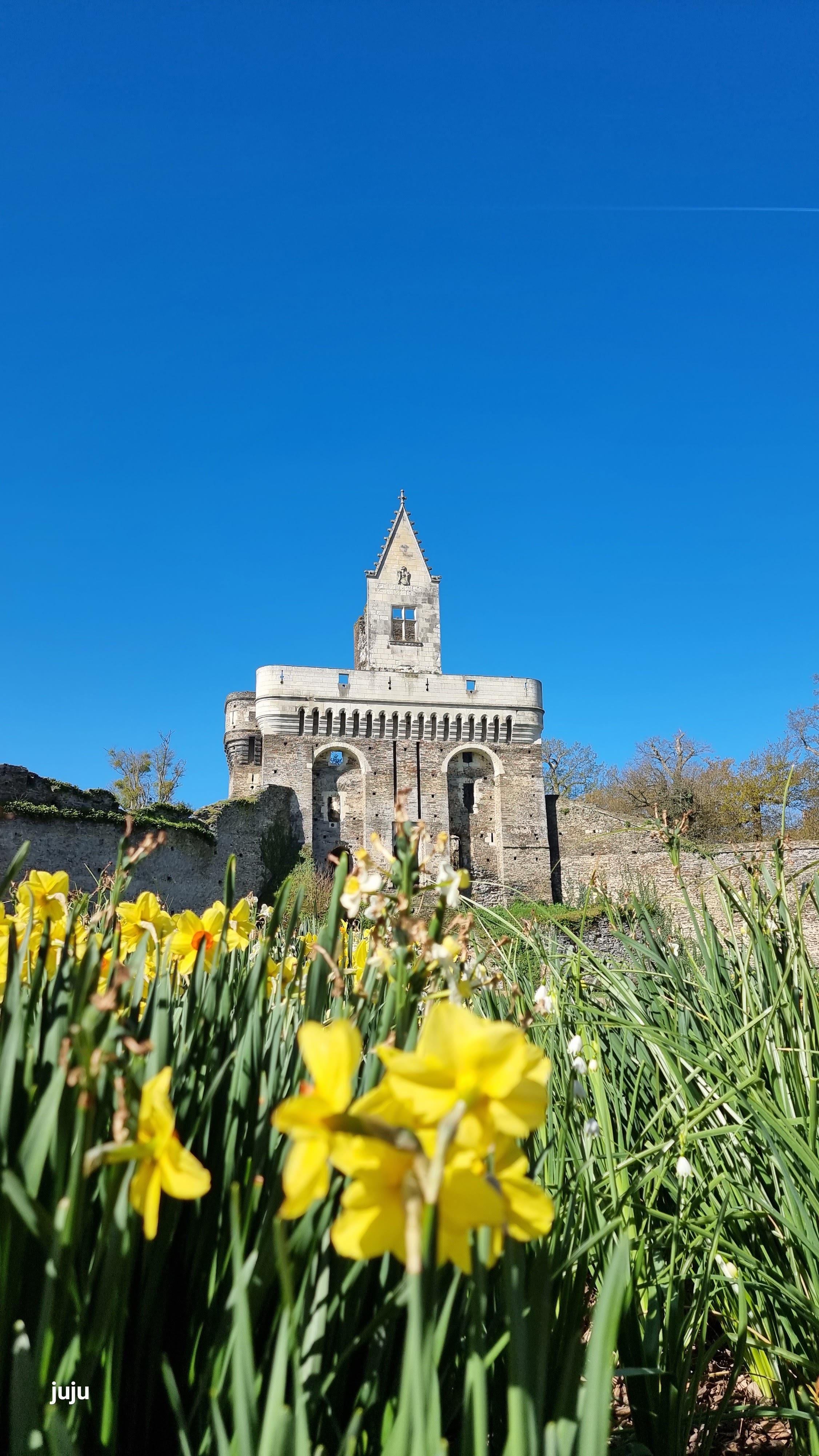 Photo n° 5 de l'avis de Juju.. fait le 28/04/2023 à 08:20